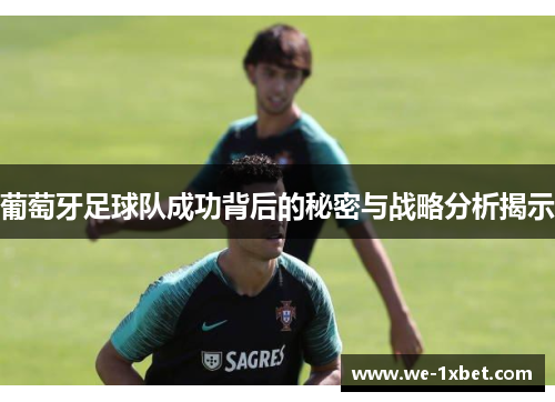 葡萄牙足球队成功背后的秘密与战略分析揭示 葡萄牙足球队成功背后的秘密与战略分析揭示