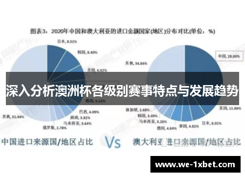 深入分析澳洲杯各级别赛事特点与发展趋势